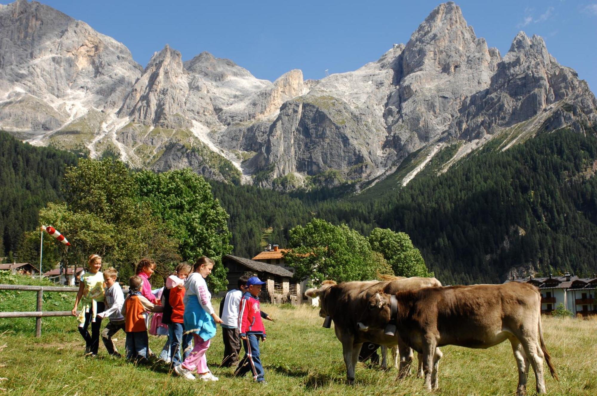 Sporting Aparthotel San Martino Di Castrozza Εξωτερικό φωτογραφία